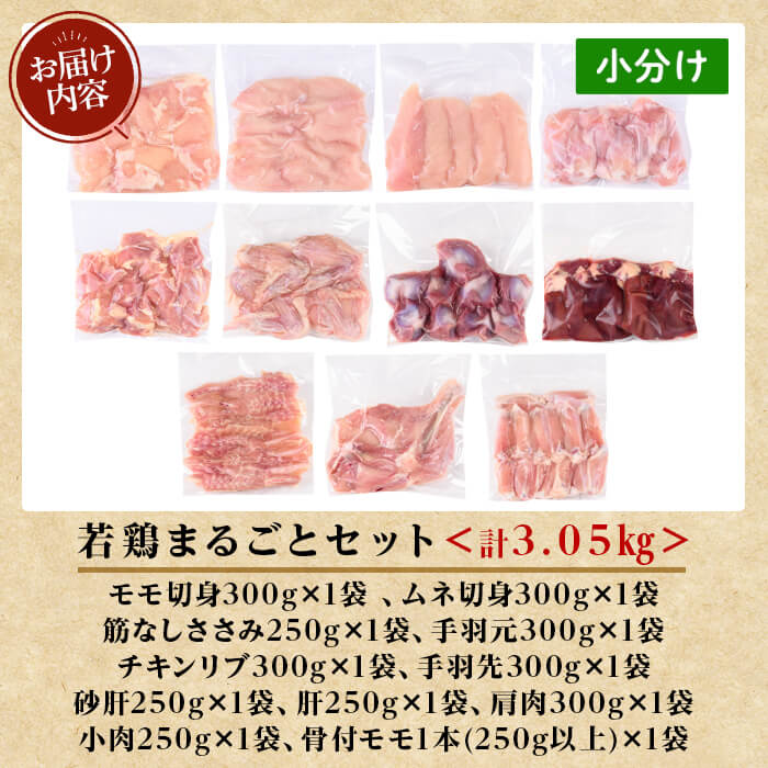 K-213 鹿児島県産 若鶏まるごとセット (計3.05kg)【TRINITY】 霧島市 国産 小分け 冷凍 真空パック 鶏肉 鳥肉 詰め合わせ