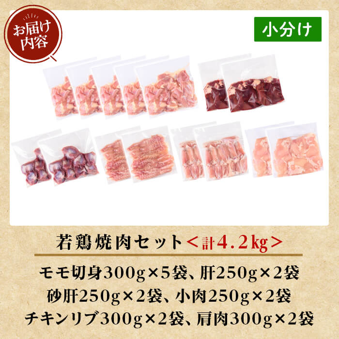 K-221 鹿児島県産 若鶏焼肉セット (合計4.2kg)【TRINITY】 霧島市 国産 冷凍 真空パック 小分け 鶏肉 鳥肉 詰め合わせ