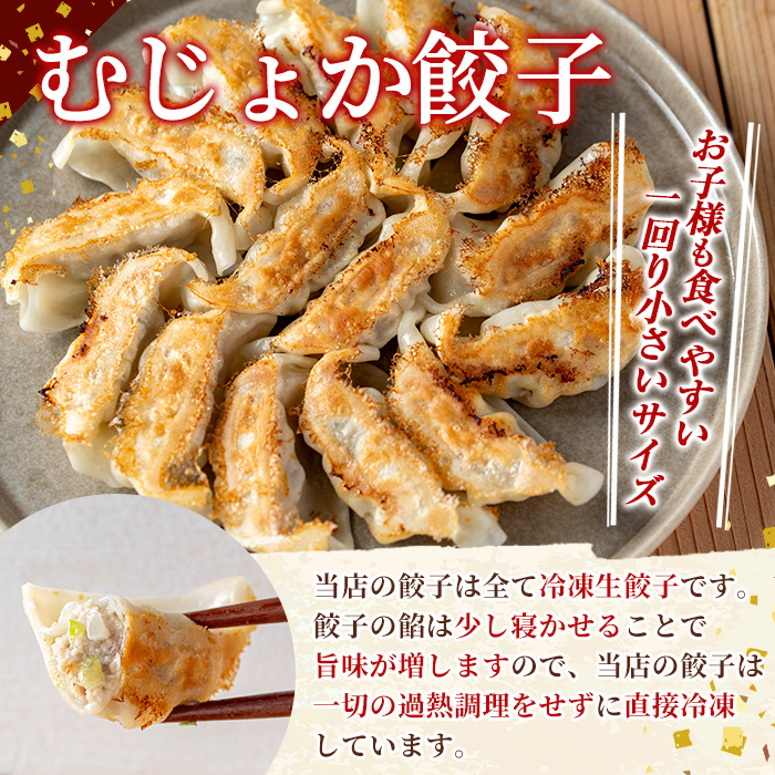 K-285-C 霧島高原純粋黒豚使用！餃子2種セット(手羽先餃子5個×1P・むじょか餃子15個×2P 計35個)【MAGONIMO餃子】霧島市 餃子 ぎょうざ 手羽 生餃子 黒豚 豚 惣菜 総菜 時短 おかず