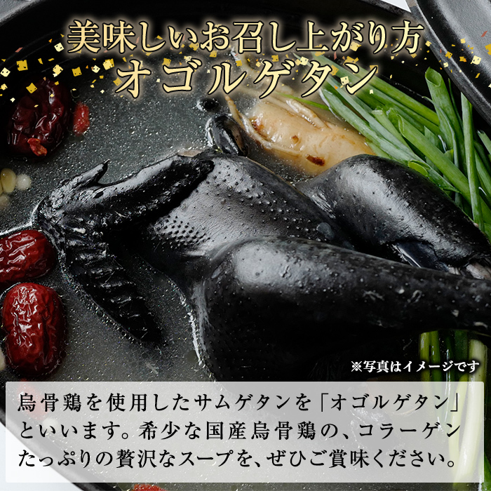 K-333 国産！オーガニック烏骨鶏丸鶏(中抜き)1羽【お多福たまご】霧島市 国産 九州産 鹿児島県産 烏骨鶏 うこっけい 鶏肉 鳥肉 鶏 とり 丸どり 無投薬 ワクチンフリー オーガニックチキン