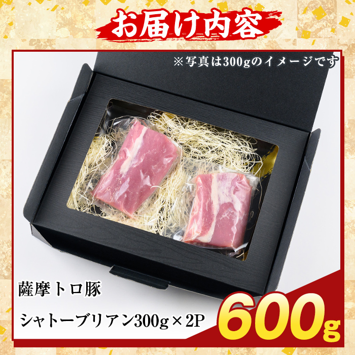 K-487-B 鹿児島県産 薩摩トロ豚 シャトーブリアン(計600g)【ふるさと産直バザール】霧島市 シャトーブリアン ヒレ肉  国産 鹿児島県産 肉 精肉
