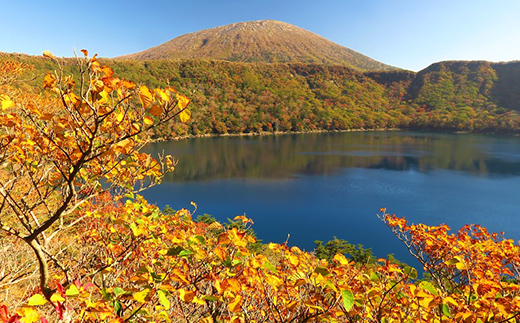 鹿児島県霧島市ANAトラベラーズホテル割引クーポン（15000点分） K-545-C