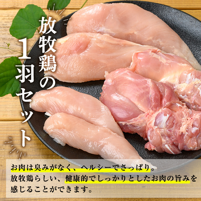 K-598 国産！オーガニックチキン1羽セット 未カット (計1.1kg～1.5kg)【お多福たまご】霧島市 国産 鶏肉 鳥 もも モモ 胸肉 むね ムネ ささみ ササミ オーガニック 有機JAS認定 抗生物質不使用 ワクチン不使用 ワクチンフリー 無投薬飼育 冷凍 小分け