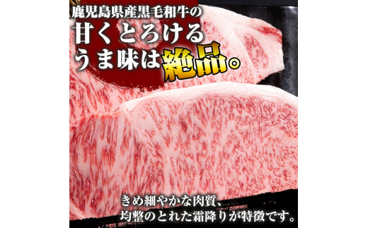 P-702 鹿児島県産黒毛和牛＜A5等級＞黒毛和牛特選サーロイン1本約12kg【きりしま畜産】牛肉 国産 サーロイン ブロック 牛 ブロック肉  a5