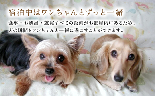 P4-006 《休日限定(金・土・祝日・祝前日)》ペット同伴グランピング4名1棟宿泊券 (1泊2食付・最大4名可) 【こしかの温泉】鹿児島 霧島 旅行 宿 チケット 宿泊券 キャンプ 温泉 露天風呂 源泉かけ流し サウナ 冷暖房完備 BBQ ペット可 犬 小型犬 中型犬 大型犬