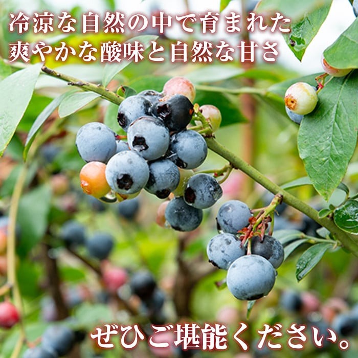 A-041 ブルーベリージュース・ジャムセット【霧島農産加エグループふきのとう】霧島市 詰め合わせ 加工品