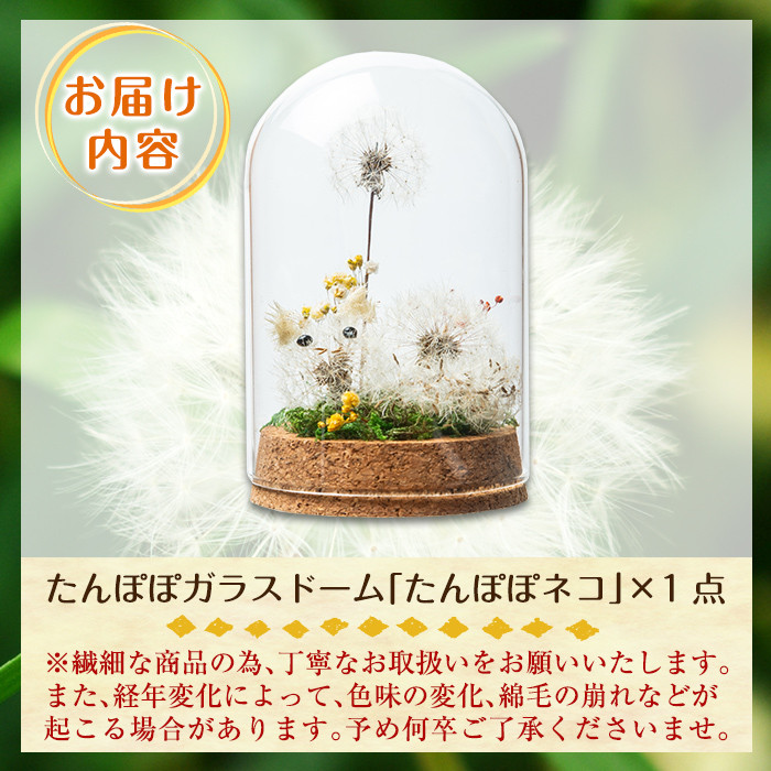 A0-255 たんぽぽガラスドーム・たんぽぽネコ(1点)【かわいち国分】霧島市 インテリア たんぽぽ ガラスドーム 置き物 ドライフラワー ハンドメイド