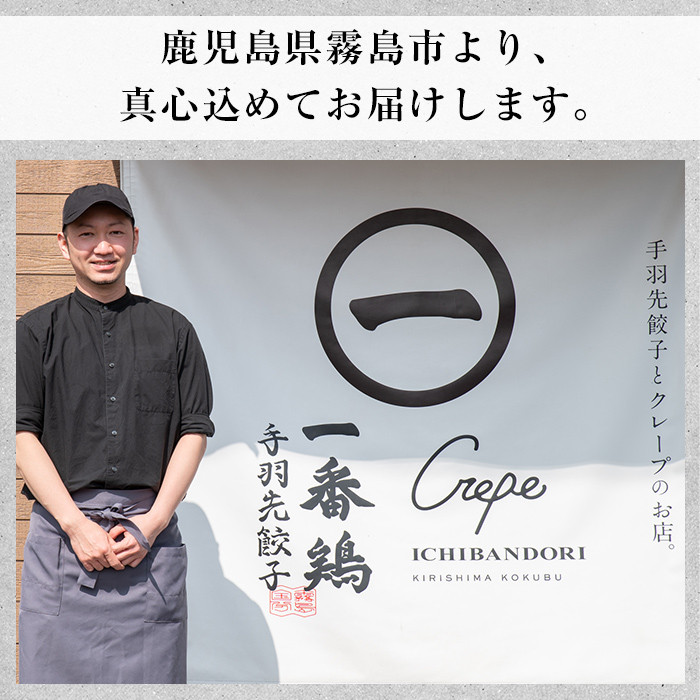 A0-293 手羽先餃子 (10本)【一番鶏】