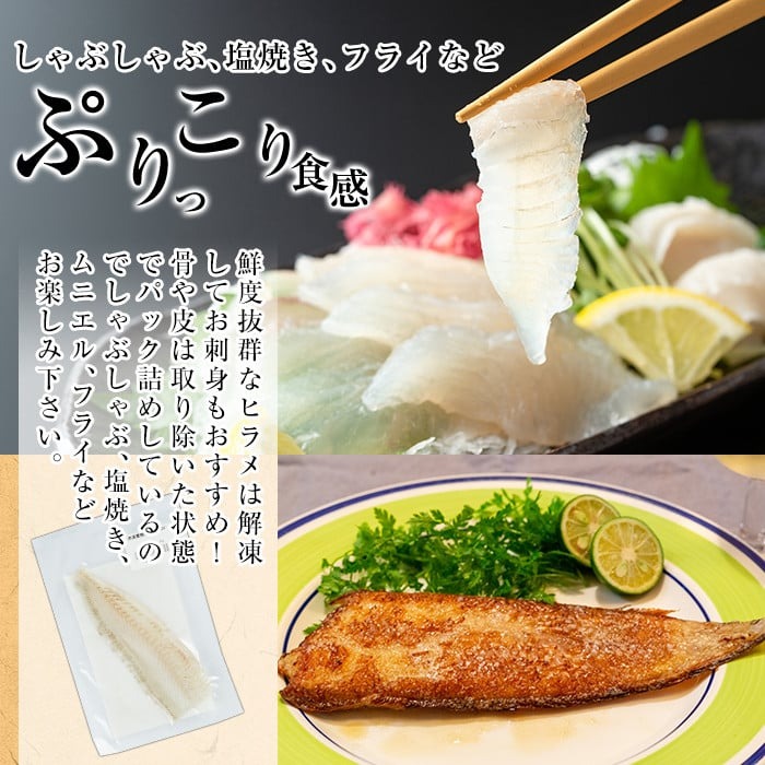 A0-331 鹿児島県産！薩摩隼人ひらめ230g以上(2～3P)【MBC開発】霧島市 ヒラメ 刺身ヒラメ 刺身 冷凍