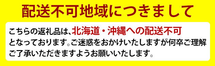 B0-199 厳選A5等級！鹿児島県産黒毛和牛すき焼き用赤身肉(500g)※北海道・沖縄配送不可※【今肉屋】国産 肉 牛肉 赤身 黒毛和牛 A5 すきやき