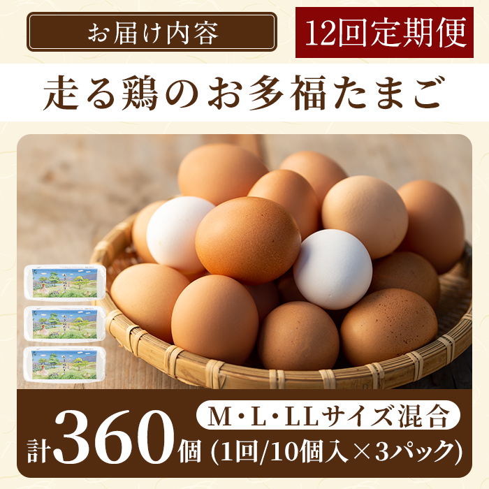K-173-B ＜12回定期便＞オーガニック卵「お多福たまご」(計360個・10個入×3パック 12回)【お多福たまご】有機JAS オーガニック 放し飼い自然卵  霧島市 国産 九州産 鹿児島県産 たまご 卵 鶏卵 朝食 定期便