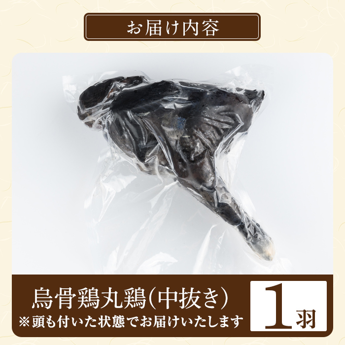 K-333 国産！オーガニック烏骨鶏丸鶏(中抜き)1羽【お多福たまご】霧島市 国産 九州産 鹿児島県産 烏骨鶏 うこっけい 鶏肉 鳥肉 鶏 とり 丸どり 無投薬 ワクチンフリー オーガニックチキン