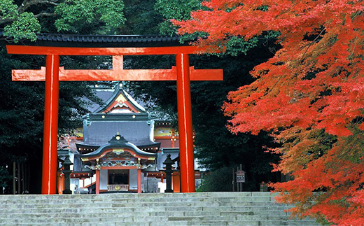 鹿児島県霧島市ANAトラベラーズホテル割引クーポン（30000点分） K-545-E