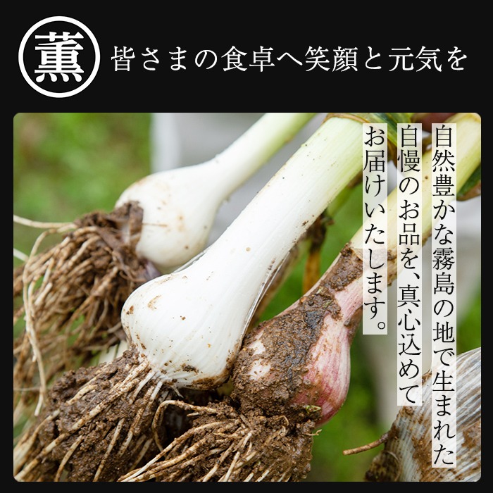 K-633 私のたれ 女だってにんにく(500ml×2本)【薩摩の薫農園】霧島市 ニンニク タレ たれ 醤油 調味料