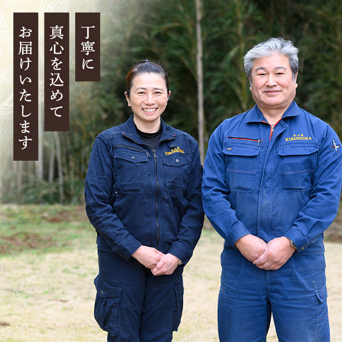 P1-058 木製ジョッキ「きりしまビアジョッキ」(1個)【MOKU KIRISHIMA】霧島市 ビールジョッキ ジョッキ 木製 木工品 工芸品