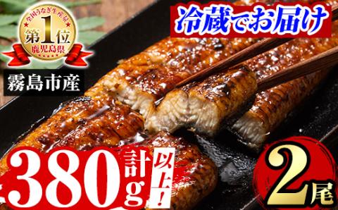 A5-034-RZ ＜冷蔵でお届け＞ 特別サイズ！霧島産うなぎ蒲焼き計380g以上(190g超×2尾)【田代水産】霧島市 うなぎ蒲焼 国産 鹿児島 うなぎ 鰻 ウナギ 高級 蒲焼き 蒲焼 かばやき タレ