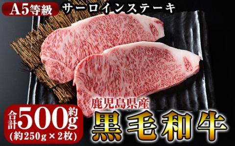 C-030 鹿児島県産黒毛和牛＜A5等級＞黒毛和牛サーロインステーキ約250ｇ×2枚【きりしま畜産】肉 牛肉 サーロイン ステーキ
