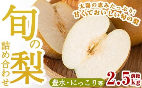 A-138 ＜期間限定！2025年8月中旬～10月上旬の間に発送予定＞梨詰め合わせ(約2.5kg前後)【さくら農園】なし 梨 豊水 フルーツ 果物 期間限定
