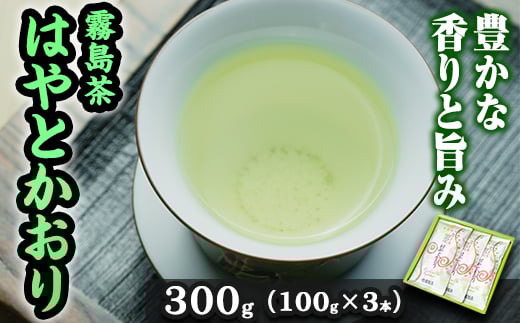 A-019 霧島茶 はやとかおり 雅 詰合せ(100g×3本)【マル竹園製茶】霧島市 緑茶 茶葉 お茶 日本茶