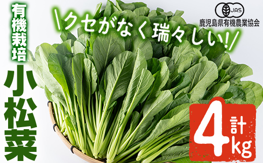 A0-350 ＜期間限定！2023年10月上旬～2024年2月下旬の間に発送予定＞有機小松菜（ゲンセン霧島認定品・合計4kg) 【もりやま農園】霧島市 国産 有機栽培 野菜 やさい こまつな こまつ菜