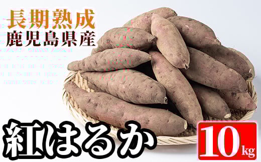 A2-012 鹿児島県産＜紅はるか＞土付き(10kg)【フレッシュジャパン鹿児島】さつまいも サツマイモ さつま芋 紅はるか 生芋