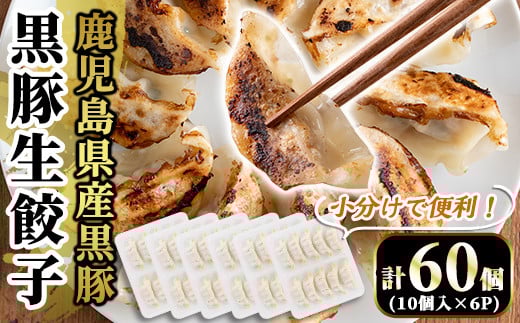 A3-008 国産！鹿児島県産黒豚餃子60個(10個入×6P)【肉の豊楽】霧島市 国産 豚肉 ぎょうざ ギョーザ ギョウザ 惣菜 おかず 冷凍