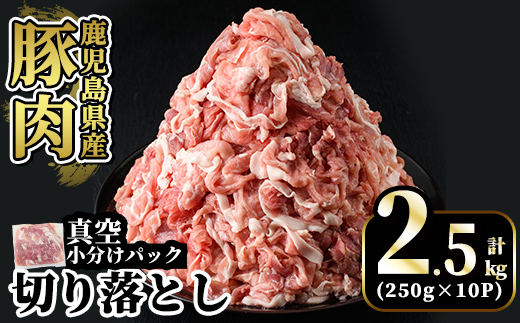 A5-033-B 国産！鹿児島県産豚肉切り落とし真空小分け 250g×10P(計2.5kg)【肉の豊楽】霧島市 肉 豚肉 切り落とし 小分け 真空パック 切落し