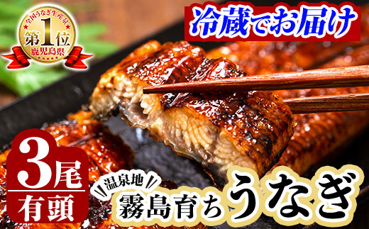 B-128-RZ ＜冷蔵でお届け＞霧島市育ちのあの「うなぎ」150～170g×3尾【田代水産】霧島市 うなぎ蒲焼 国産 鹿児島 うなぎ 鰻 ウナギ 高級 蒲焼き 蒲焼 かばやき タレ