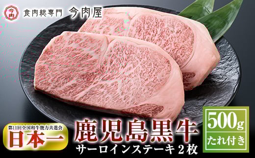 C-013 ＜Ａ５ランク＞黒毛和牛ステーキ計約500g(250g×2枚)※北海道・沖縄配送不可※【今肉屋】ステーキ サーロイン ステーキ肉 ステーキ牛肉 国産 牛肉 A5