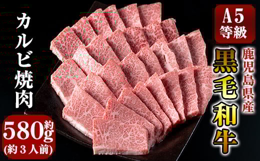 C-014 鹿児島県産黒毛和牛＜A5等級＞黒毛和牛カルビ焼肉用約580g【きりしま畜産】焼肉セット 焼肉用 牛肉 カルビ 焼肉 a5  焼き肉 牛肉 国産