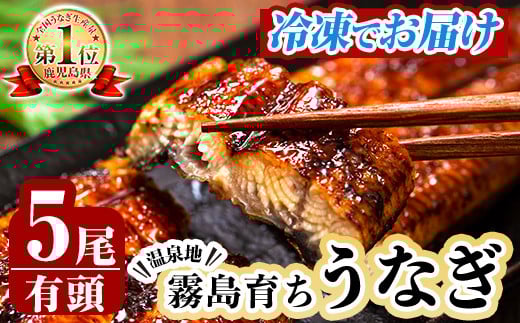 C-077-RT ＜冷凍でお届け＞霧島市育ちのあの「うなぎ」120～130g×5尾【田代水産】霧島市 鰻 ウナギ 蒲焼き 蒲焼 国産