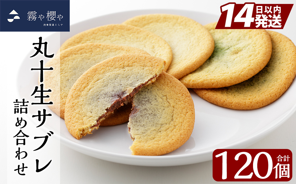 C-086 丸十生サブレ詰め合わせ(12枚入×10箱 計120枚)【徳重製菓とらや】霧島市 生サブレ サブレ しっとり なめらか マイルド お菓子 焼菓子 おやつ お土産 贈り物 手土産 チョコレート ホワイトチョコレート 霧島茶チョコレート
