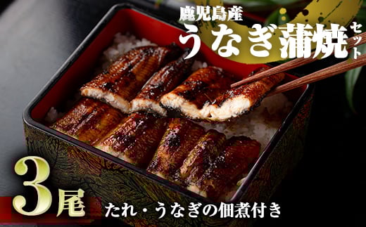 D-037 鹿児島産うなぎ蒲焼セット【うなぎの尾方】霧島市 国産 鹿児島県産うなぎ 蒲焼き