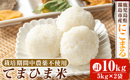 K-198-C 令和7年産 てまひま米(品種:にこまる)(計10kg)【末蜜農園】霧島市 お米 精米 白米 米 こめ コメ ご飯 ごはん 栽培期間中農薬不使用