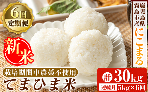 K-198-F 【6回定期便】令和7年産新米 てまひま米(品種:にこまる)(計30kg：5kg×6回)【末蜜農園】霧島市 お米 精米 白米 米 こめ コメ ご飯 ごはん 定期便 栽培期間中農薬不使用