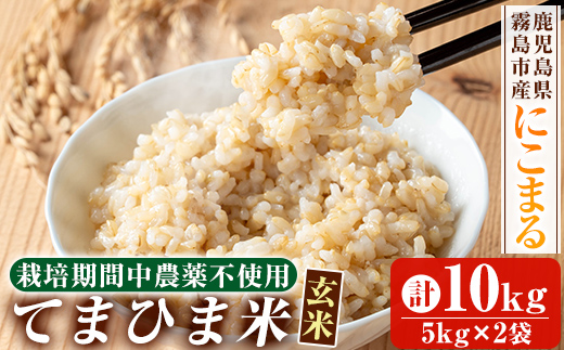 K-391-C 令和7年産 てまひま米・玄米(品種:にこまる)(計10kg)【末蜜農園】霧島市 お米 玄米 米 こめ コメ ご飯 ごはん 定期便 栽培期間中農薬不使用