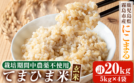 K-391-D 令和7年産 てまひま米・玄米(品種:にこまる)(計20kg)【末蜜農園】霧島市 お米 玄米 米 こめ コメ ご飯 ごはん 定期便 栽培期間中農薬不使用