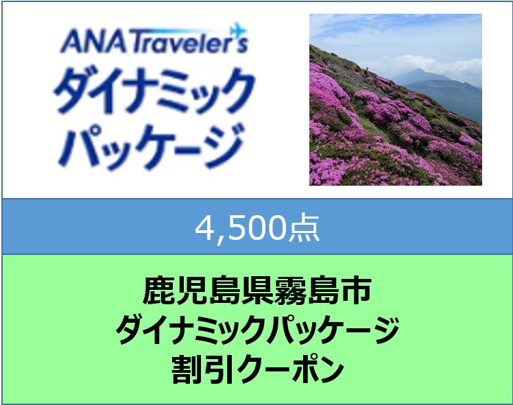 鹿児島県霧島市ANAトラベラーズダイナミックパッケージ割引クーポン（4500点分） K-544-B