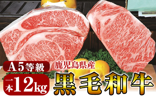 P-702 鹿児島県産黒毛和牛＜A5等級＞黒毛和牛特選サーロイン1本約12kg【きりしま畜産】牛肉 国産 サーロイン ブロック 牛 ブロック肉  a5