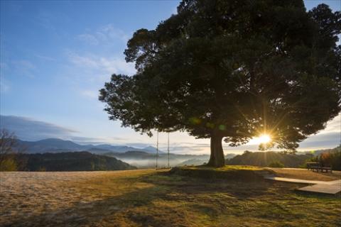 PK-002 天空の森「霖雨の森」ペア宿泊券(1泊2食付)温泉付きヴィラで完全プライベート1泊2食付きペア宿泊チケット【天空の森】宿泊券 宿泊 霧島市 温泉 チケット 食事 温泉 旅行