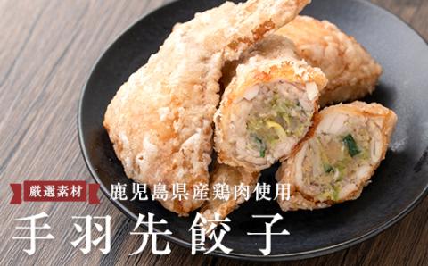 A0-293 手羽先餃子 (10本)【一番鶏】