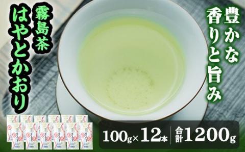 霧島茶はやとかおり雅12本セット(茶葉100g×12本)[マル竹園製茶]