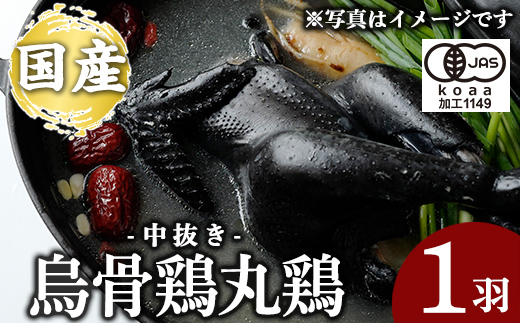 K-333 国産！オーガニック烏骨鶏丸鶏(中抜き)1羽【お多福たまご】霧島市 国産 九州産 鹿児島県産 烏骨鶏 うこっけい 鶏肉 鳥肉 鶏 とり 丸どり 無投薬 ワクチンフリー オーガニックチキン