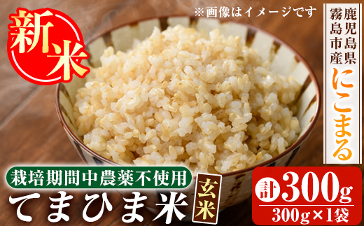 K-391-A [令和6年産・新米]てまひま米・玄米(品種:にこまる)(計300g:300g×1袋)[末蜜農園]