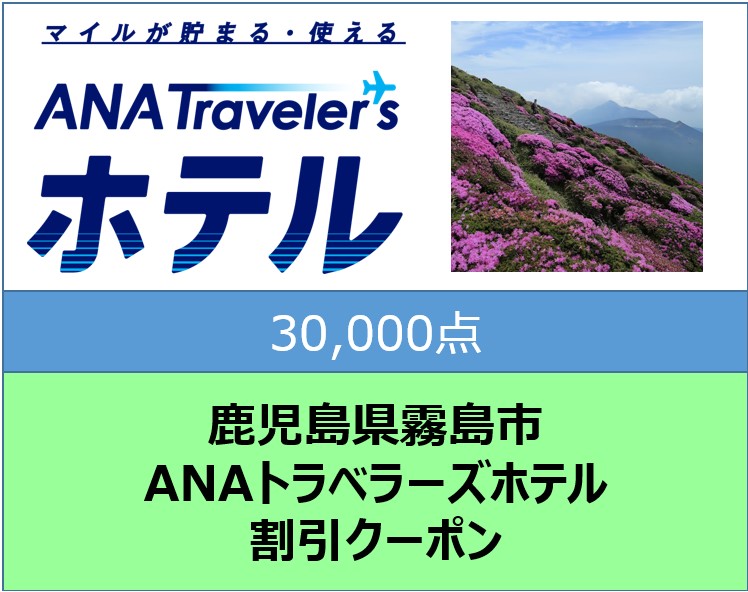 鹿児島県霧島市ANAトラベラーズホテル割引クーポン（30000点分） K-545-E
