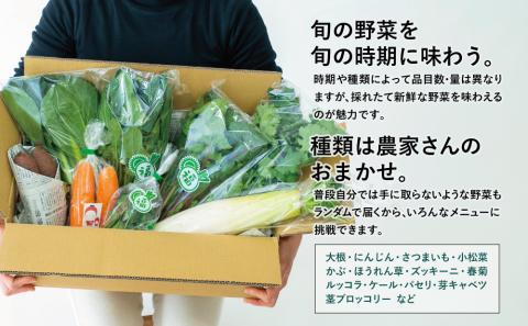 【鹿児島県南さつま市産】福元農園 旬のお野菜 おまかせセット 1箱（5～8品目） 野菜 詰め合わせ 数量限定 鹿児島 南さつま市