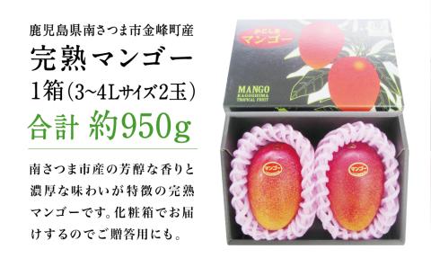 【鹿児島県産】 数量・期間限定！ 完熟マンゴー 3～4Lサイズ 2玉（化粧箱入り）約950g JAさつま日置