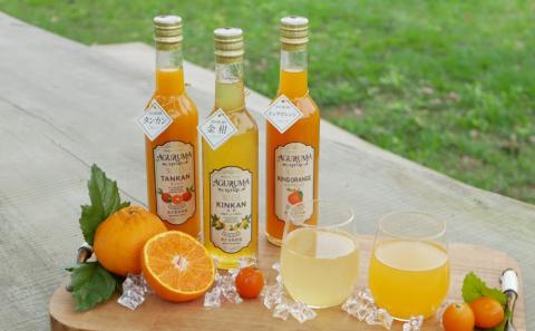 柑橘シロップ３本セット（金柑・たんかん・キングオレンジ）