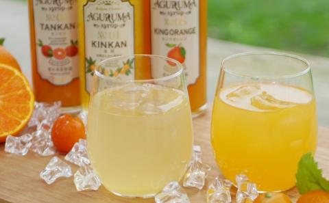 柑橘ジャム＆シロップ４本セット（たんかん・キングオレンジ）