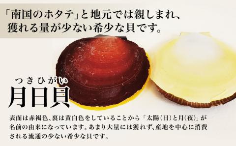 【漁師厳選】希少 鹿児島特産 月日貝 30枚